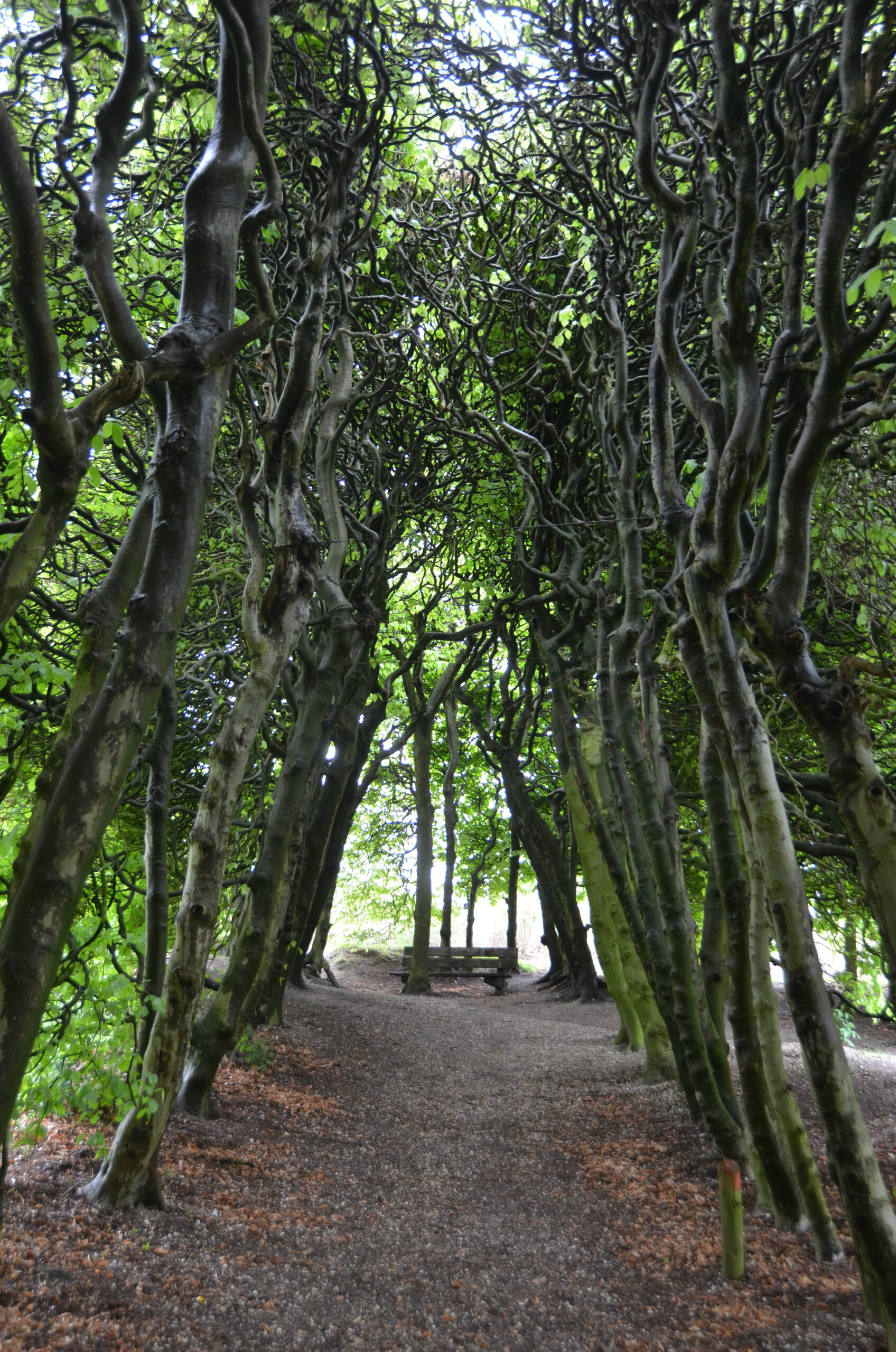 Groene Bedstee - Endroit insolite à Arnhem, en Belgique