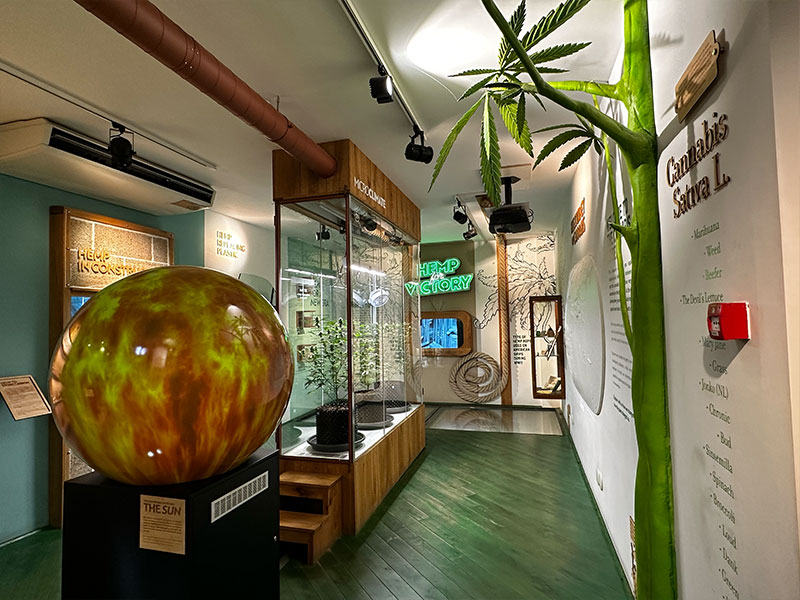 Musée du Cannabis