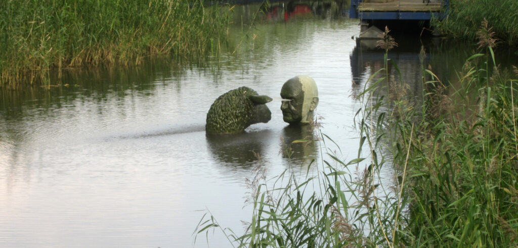 Man en Schaap